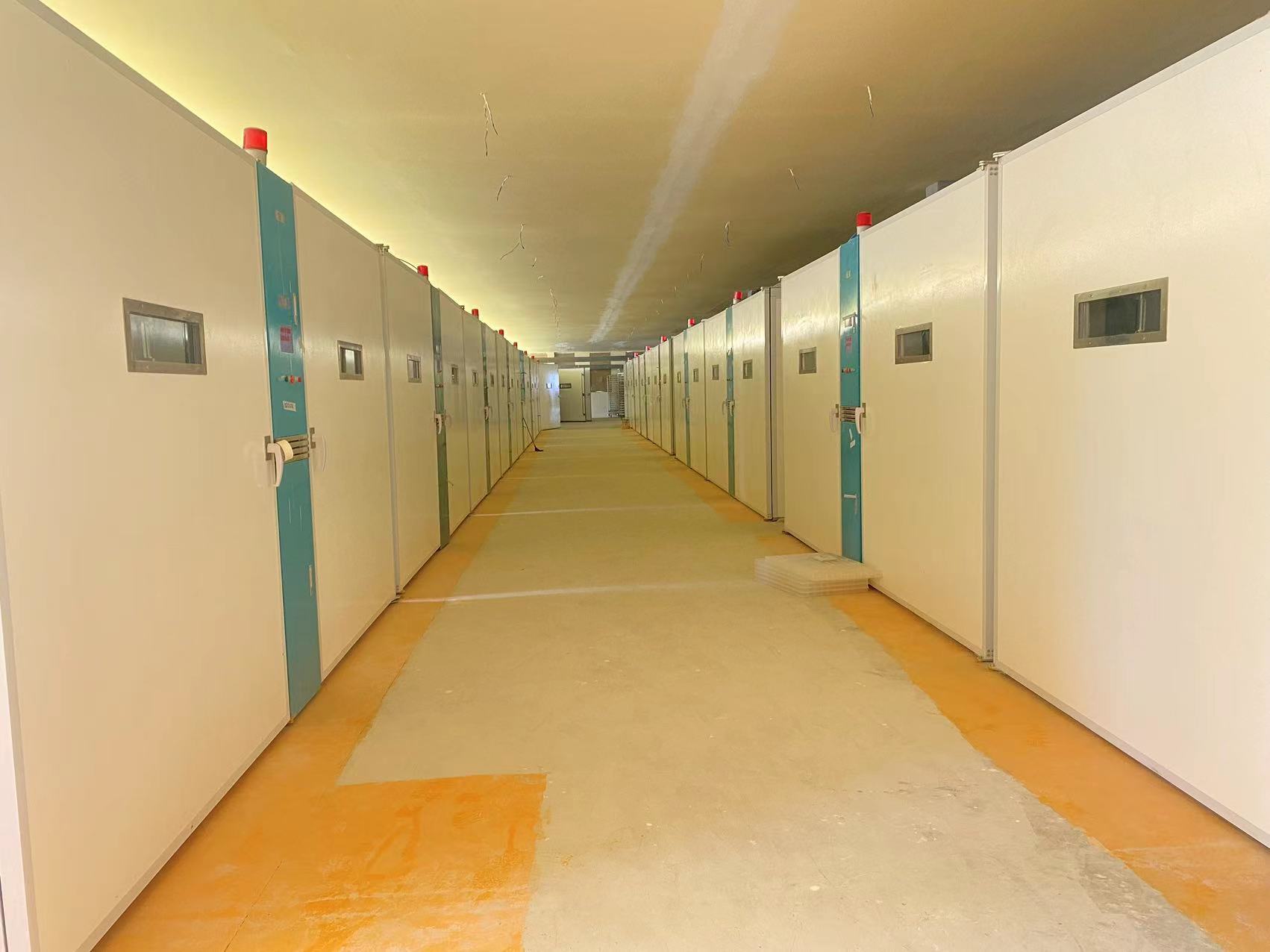 최신 회사 블로그 지속가능한 가금류 솔루션: 아프리카 번식소가 왜 스테인리스 스틸과 유리섬유로 전환하는가 ELT-57600S