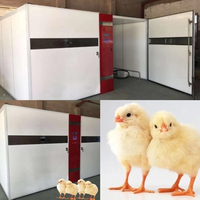 주문 ±3%RH 습도 정확도와 인큐베이터를 꾸미는 산업적 1000W 달걀 online manufacture