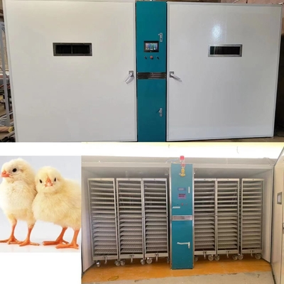 주문 220V/50Hz 닭고기류 부화는 ±3%RH의 습도 정확도로 기계화합니다 online manufacture
