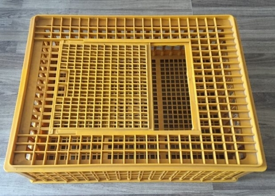 주문 닭장 부속물은 가금류 닭 플라스틱 케이지 732x534x260mm을 옮깁니다 online manufacture