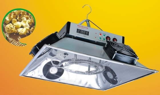 주문 가금류 사육장을 위한 전기 가금류 인공 부화기 난방기 닭 인공 부화기 가스 히터 online manufacture