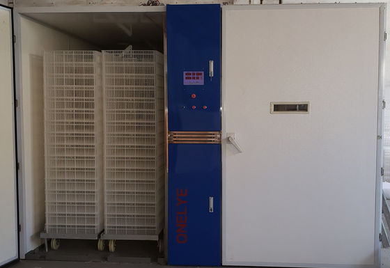 주문 28800대 닭 알 인큐베이터 장비 어린아이들 부화장 기계 online manufacture