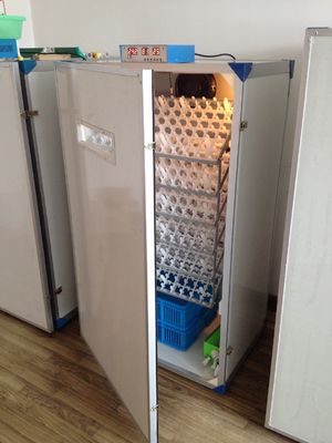 주문 닭 알 300 달걀 능력 인큐베이터를 위한 쉬운 창구 완전 자동 달걀 인큐베이터 online manufacture