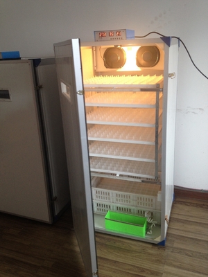 주문 닭 알 셀프 회전하는 인큐베이터를 위한 300대 거북 작은 가금 알 인큐베이터 online manufacture