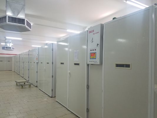 주문 20000대 인큐베이터 닭 알 부화 기계 online manufacture