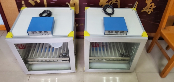 주문 집에서 만드는 작은 완전 자동 달걀 인큐베이터 작은 6 Emu 달걀  180W online manufacture