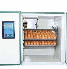 주문 360도 자동 닭 계란 인큐베이터 부화기 환기 online manufacture
