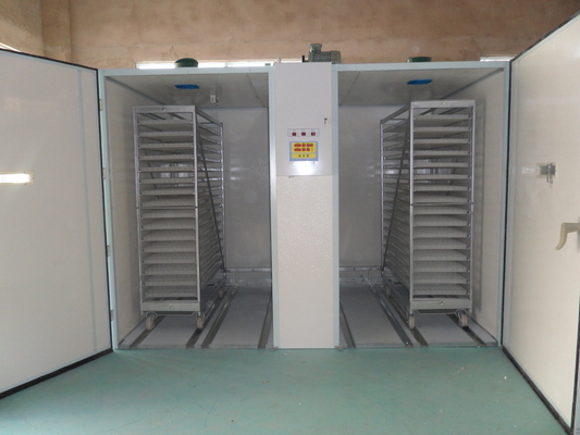 주문 부화장과 31824 메추라기 난자 싱글 스테이지 인큐베이터 3.8KW online manufacture