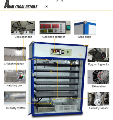 주문 완전 자동 어린아이들 인큐베이터 기계 3000 달걀 인큐베이터 online manufacture
