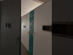 부화의 세 단계는 무엇입니까?